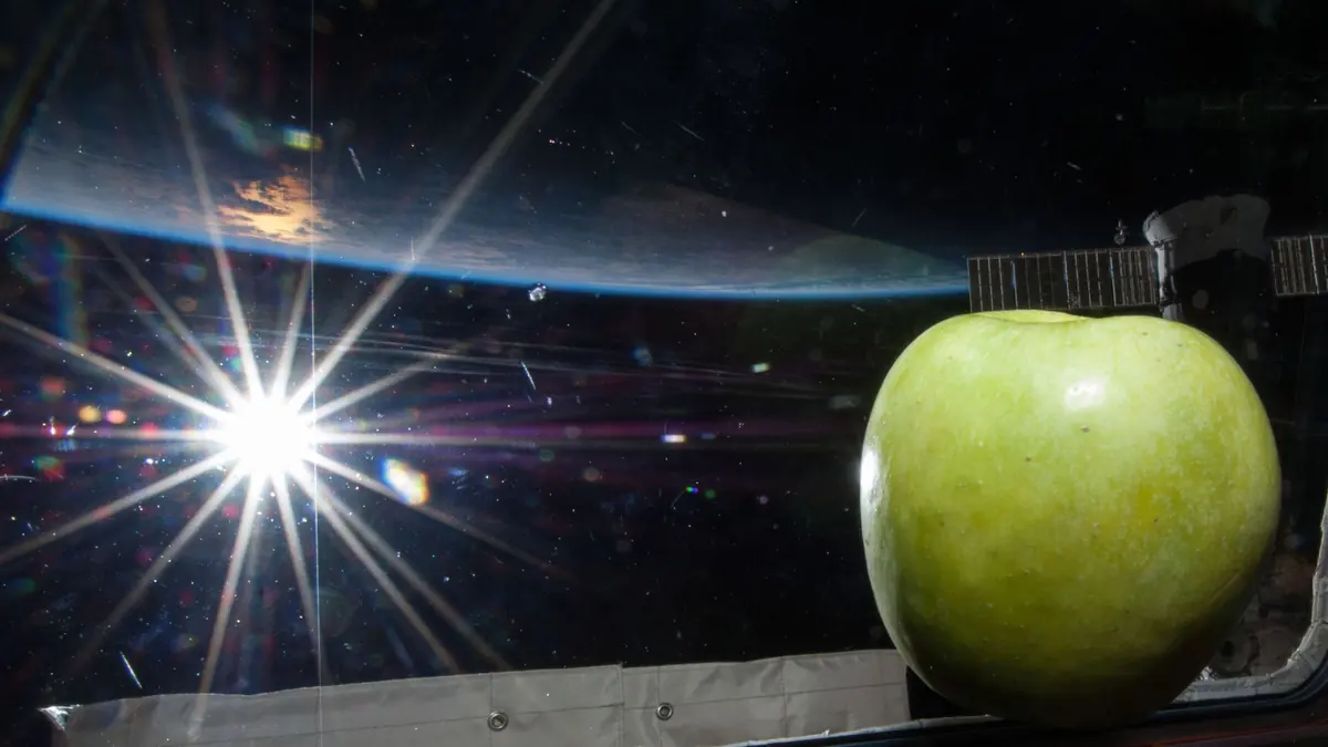 Real photo: a green apple floating by a window of the space station, with the Sun and the thin blue edge of the Earth outside